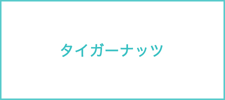 タイガーナッツ