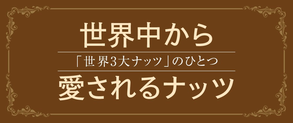 ヘーゼルナッツ 素焼き 無塩 55g トルコ産 ダイエットサポート ハッピーナッツカンパニー