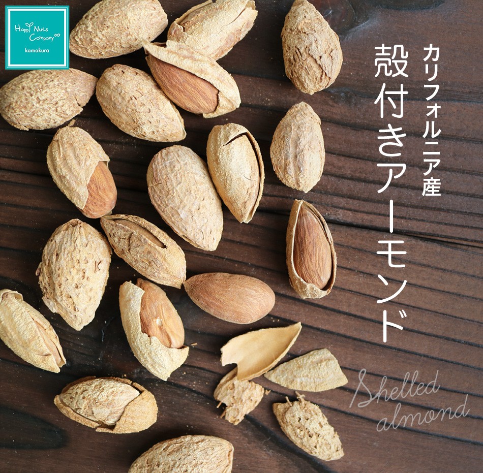 殻付アーモンド 有塩 120g カリフォルニア産 ハッピーナッツカンパニー