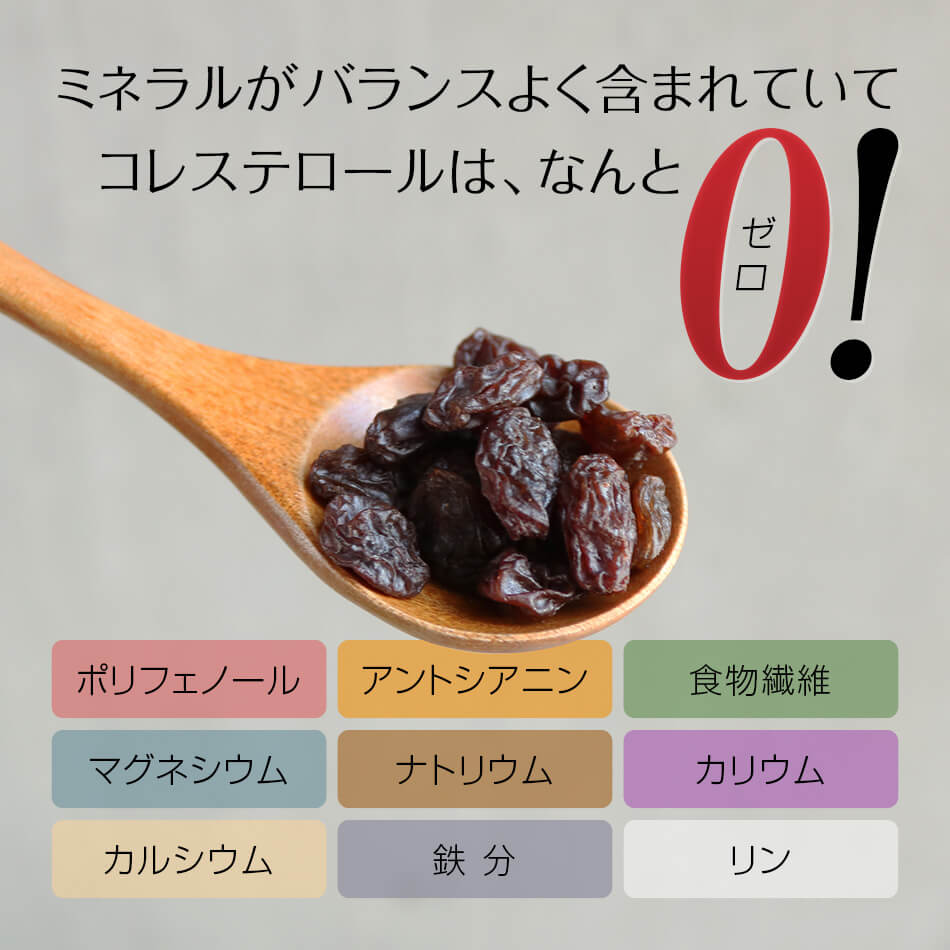 トルコ産レーズン 300g