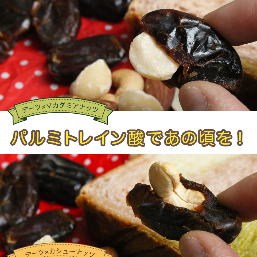 イラン産サイヤーデーツ無添加種なし８０g