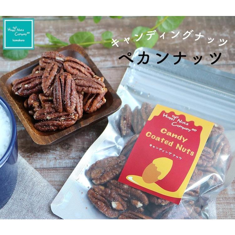 ハッピーナッツカンパニー トルコ産サルタナレーズン 無添加 70g