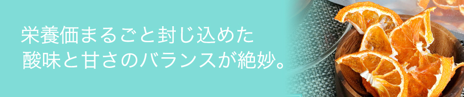 国産ドライフルーツ